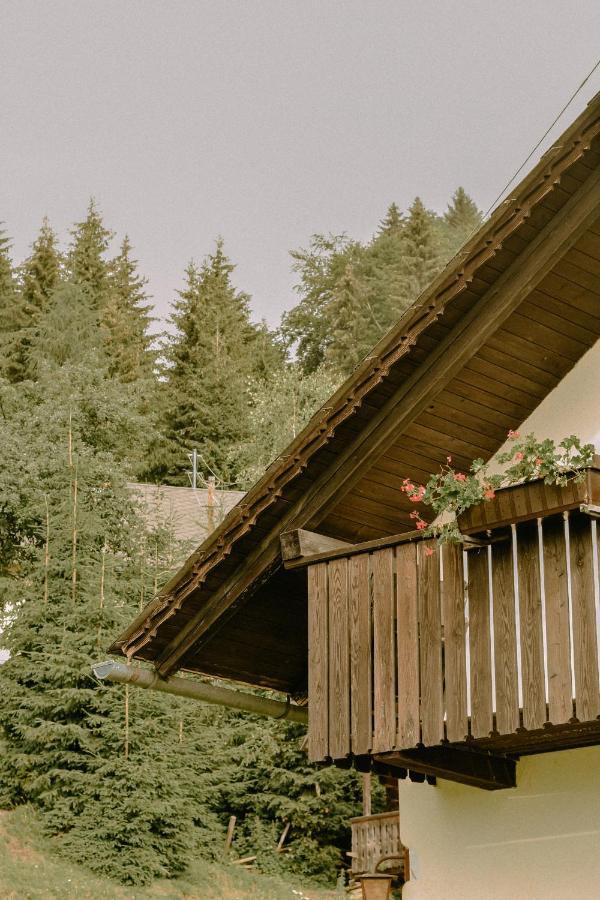 Almhaus Kochjosel Villa Garanas Exterior foto